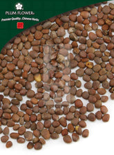 莱福子,未硫化的萝卜种子